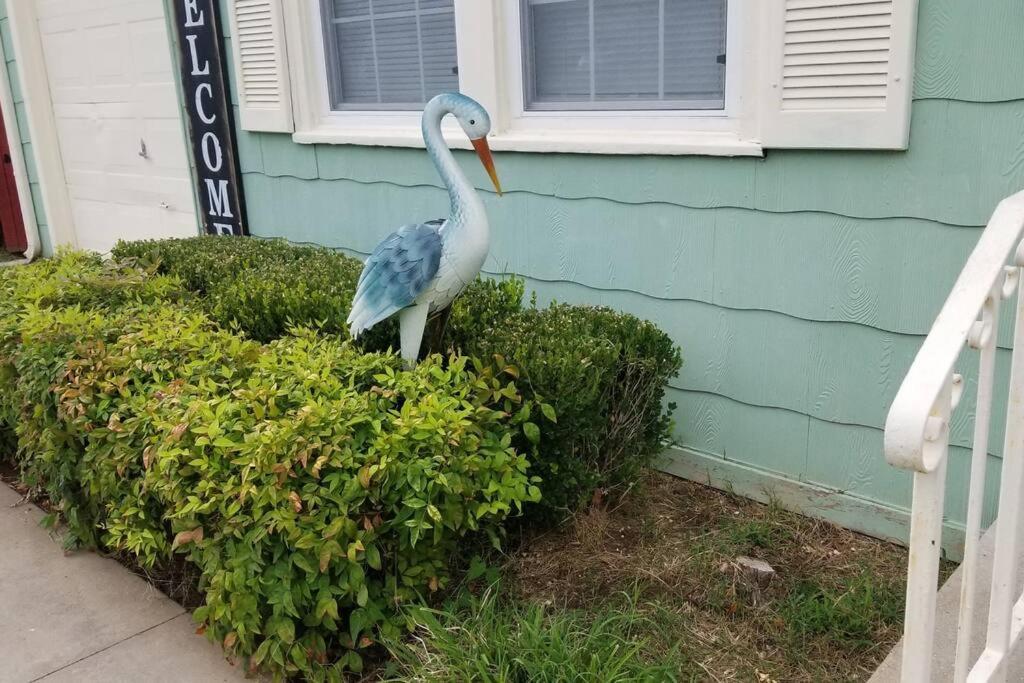 Blue Flamingo'S Charming Home-Heart Of Tulsa2- Cherry St-Expo-11Th Exteriér fotografie